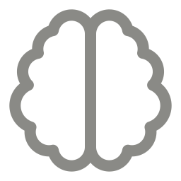 paceo-icon-brain